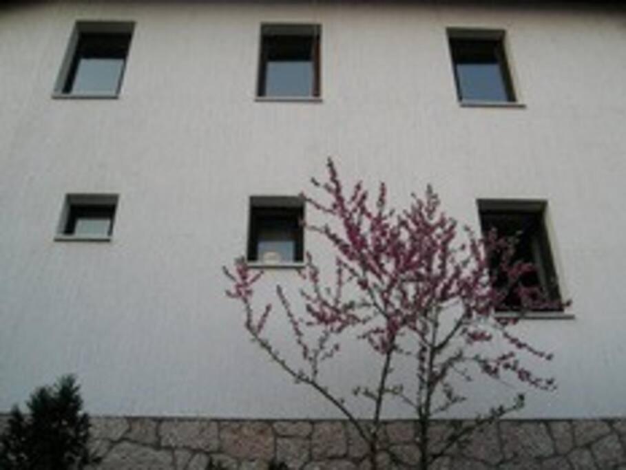 Apartment In Old Town - Top Location サラエヴォ エクステリア 写真